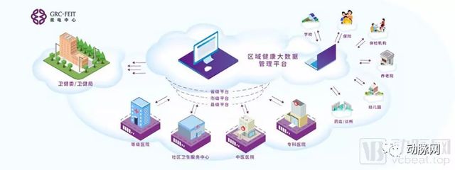 荷清柔电 以柔性科技重塑医疗级可穿戴设备，开启健康管理新纪元
